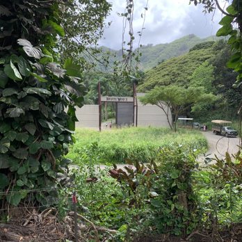 Kualoa Ranch - Tours Near Me - Kaneohe, Hawaii