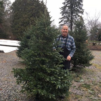 Stony Hill Perennial Farm - Finally!!! Bob artfully trimmed the tree and I have the sparse tree I've been looking for!!! - Nurseries & Gardening Near Me - Yardley, Pennsylvania Stony Hill Perennial Farm - Finally!!! Bob artfully trimmed the tree and I have the sparse tree I've been looking for!!! - Nurseries & Gardening Near Me - Yardley, Pennsylvania