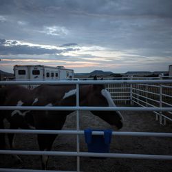 WZ Ranch