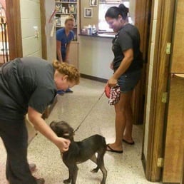 Vito getting love and pep talks from the staff.