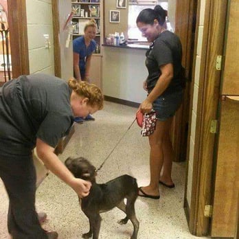 Southside Animal Clinic - Vito getting love and pep talks from the staff. - Veterinarians Near Me - Jacksonville, Florida