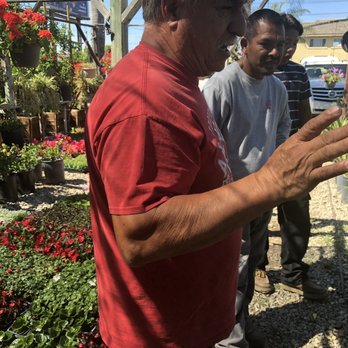 Monarcas Nursery - Owner and gardener - Nurseries & Gardening Near Me - Los Angeles, California Monarcas Nursery - Owner and gardener - Nurseries & Gardening Near Me - Los Angeles, California