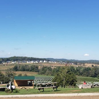 Arrington Vineyards - The pretty scenery and atmosphere surrounded by nature - Wine Tasting Room Near Me - Arrington, Tennessee Arrington Vineyards - The pretty scenery and atmosphere surrounded by nature - Wine Tasting Room Near Me - Arrington, Tennessee