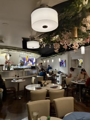 Friends Sushi on Rush by null