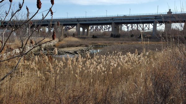 Randall's Island Park by null