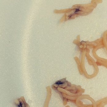 Ling Nam Express - MOLD in our Mami Soup. We found mold after me, my wife & our baby had already eaten some. - Filipino Near Me - Tracy, California Ling Nam Express - MOLD in our Mami Soup. We found mold after me, my wife & our baby had already eaten some. - Filipino Near Me - Tracy, California