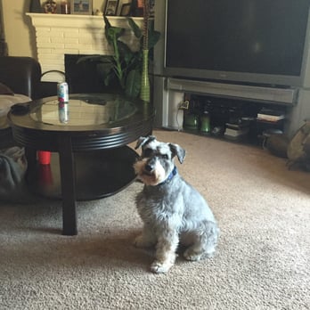 PetSmart - By Petsmart - Pet Stores Near Me - San Leandro, California