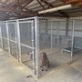 Photo of Fetch This Kennels-Weber's
