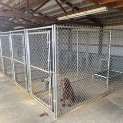 Fetch This Kennels-Weber's