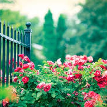 Heard Fences - Fences & Gates Near Me - Dover, Florida
