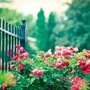 Heard Fences