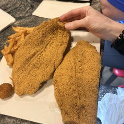 Catfish
