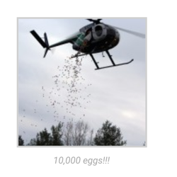 Impact Church - Easter Egg Drop at the NOVA Manassas campus.
