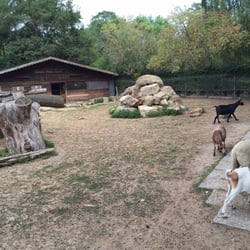 Tierpark Mainz-Kastel