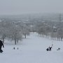 Photo of Gotts Park