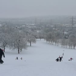 Gotts Park