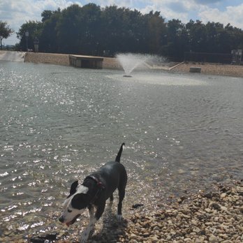 Cedar Bark Park - Dog Parks Near Me - Cedar Park, Texas Cedar Bark Park - Dog Parks Near Me - Cedar Park, Texas
