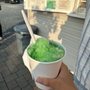 Busy Bee Snowballs
