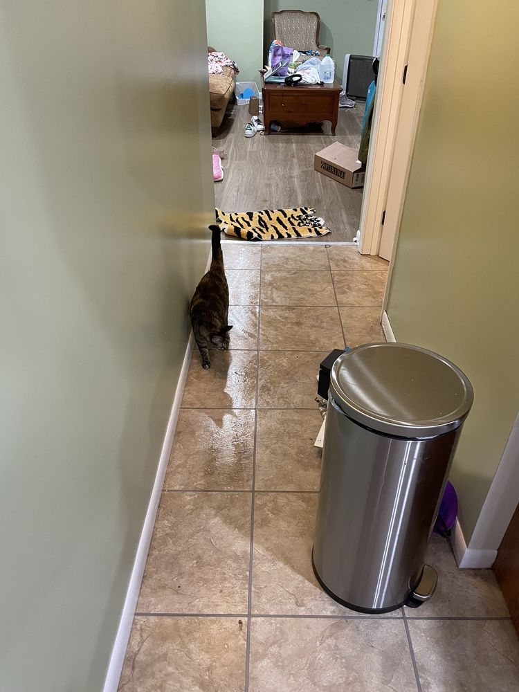 Slide of Absolute Services