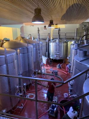 Quinta do Bomfim by null