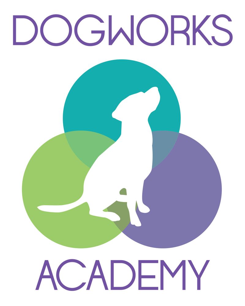 DOGWORKS ACADEMY Updated August 2024 Delray Beach, Florida Pet