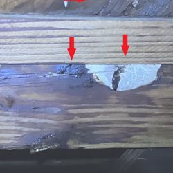 Orgova Home Inspections - Roof leak in attic
