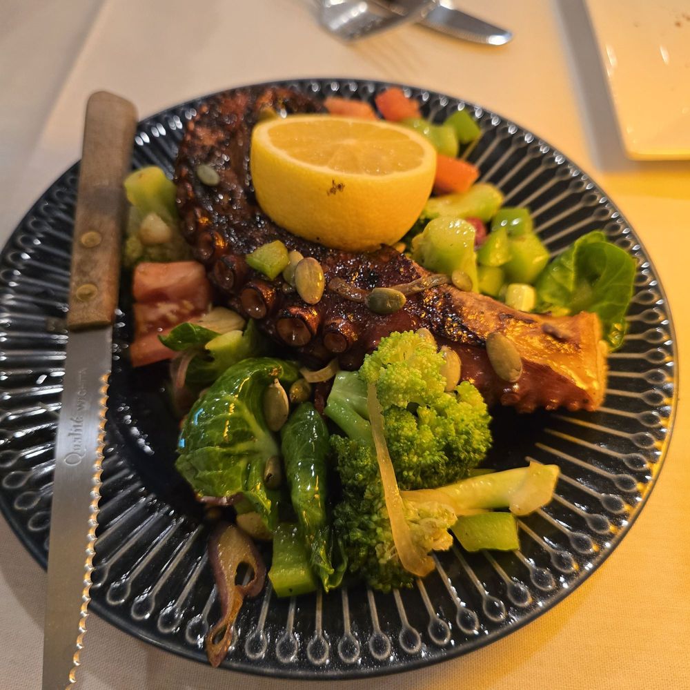 Zaytin Turkish Cuisine - Turkish Near Me - Warren, New Jersey