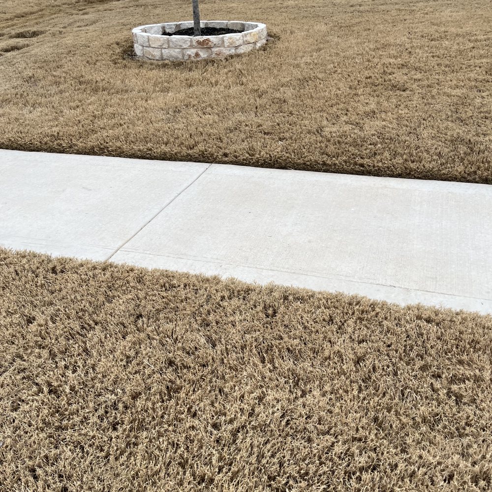 Austex Landscape And Design - Stone around trees - Irrigation Near Me - Leander, Texas Austex Landscape And Design - Stone around trees - Irrigation Near Me - Leander, Texas