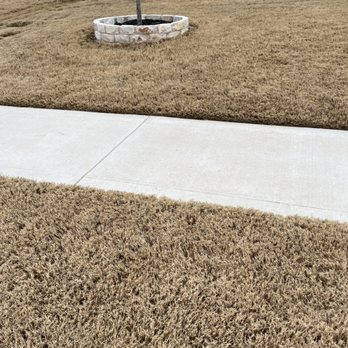 Austex Landscape And Design - Stone around trees - Irrigation Near Me - Leander, Texas Austex Landscape And Design - Stone around trees - Irrigation Near Me - Leander, Texas