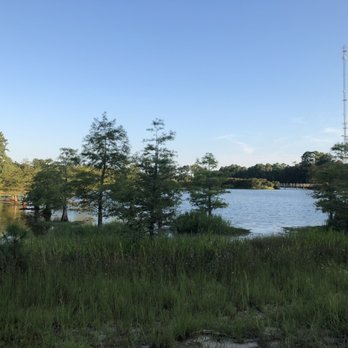 Chatham County Wetlands Preserve - Hiking Near Me - Savannah, Georgia