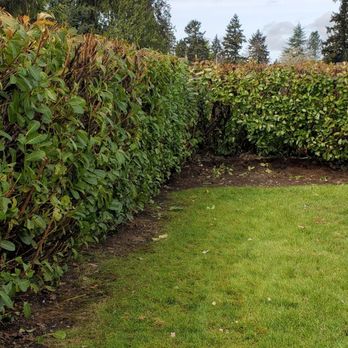 Dove Landscaping - Masonry/Concrete Near Me - Tacoma, Washington Dove Landscaping - Masonry/Concrete Near Me - Tacoma, Washington
