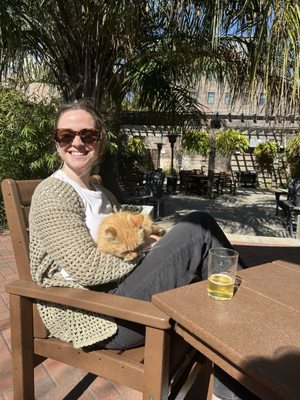 Ecology Beer Creative by null