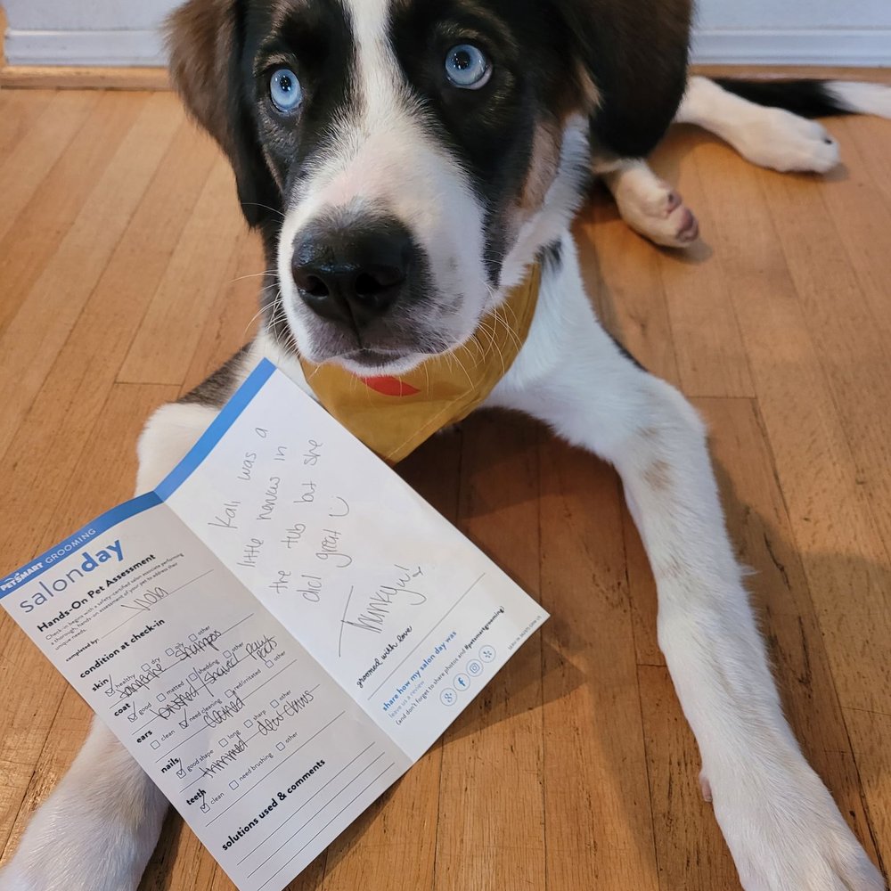 PetSmart - Pet Training Near Me - Rosemead, California
