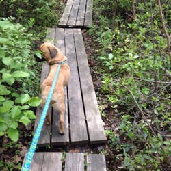 Blue Dot Trail