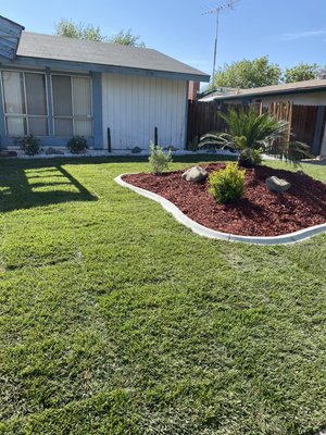 Expert Tree Removal & Landscaping Work - Expert Residential and Commercial Tree Removal & Landscaping Work