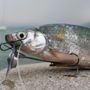 Photo of Andy's Fischershop