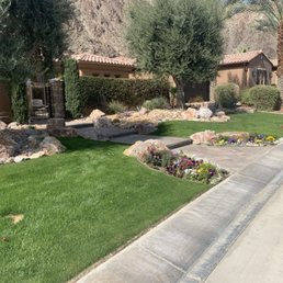 Grass, landscape, flower beds Grass, landscape, flower beds