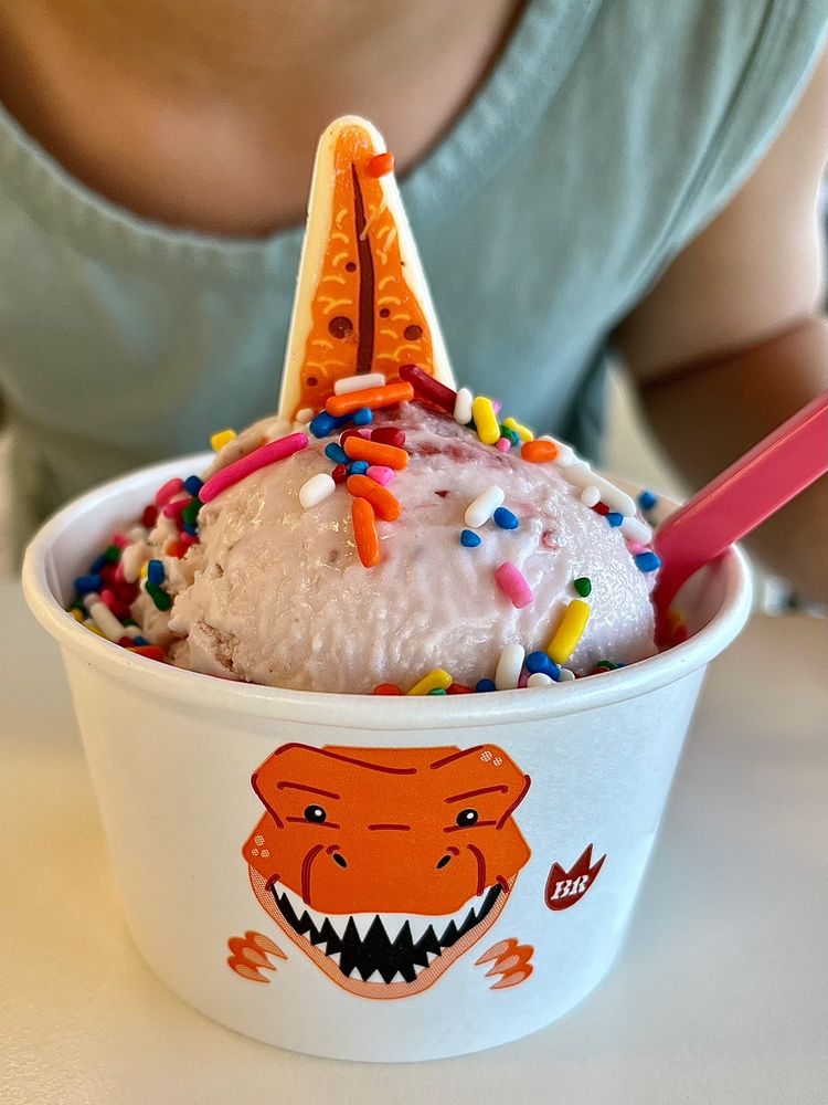 BASKINROBBINS 31 ICE CREAM STORES Updated October 2024 11 Photos