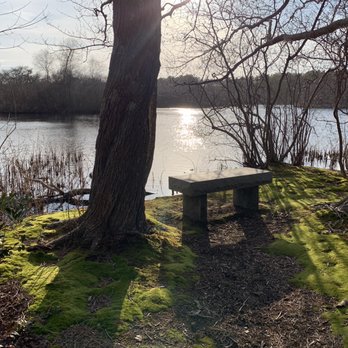 Quogue Wildlife Refuge - Parks Near Me - Quogue, New York Quogue Wildlife Refuge - Parks Near Me - Quogue, New York
