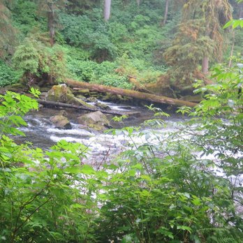 Alaskan Dream Cruises - Tours Near Me