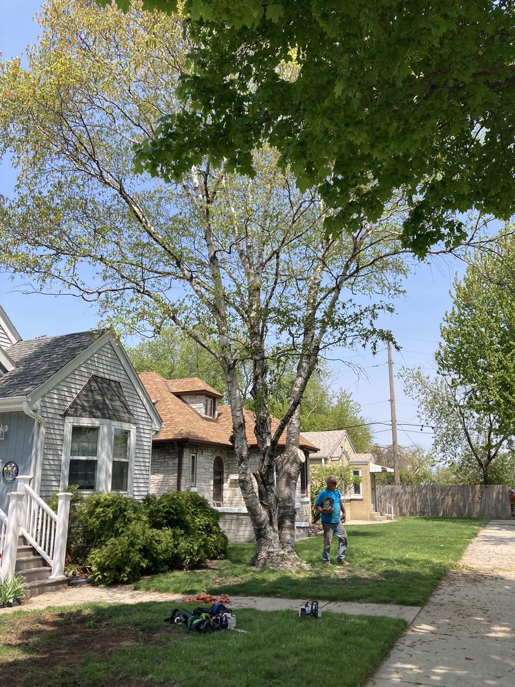 Dennis & Son Tree Service - tree service in Milwaukee, WI