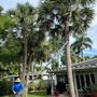 Photo of Geo Tree Service