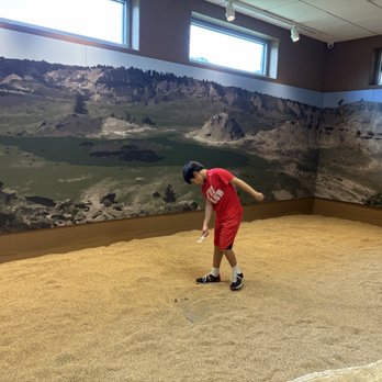 Tellus Science Museum - Digging for fossils - Museums Near Me - Cartersville, Georgia