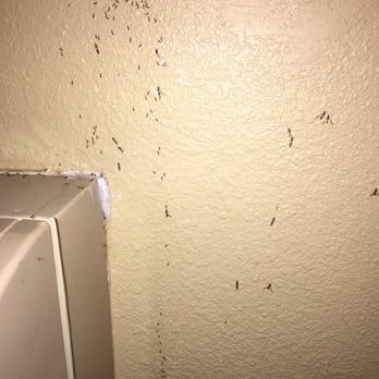 Super 8 by Wyndham McHenry - Would you pay money to sleep here? - Hotels Near Me - McHenry, Illinois