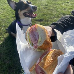Italian Sub Italian Sub