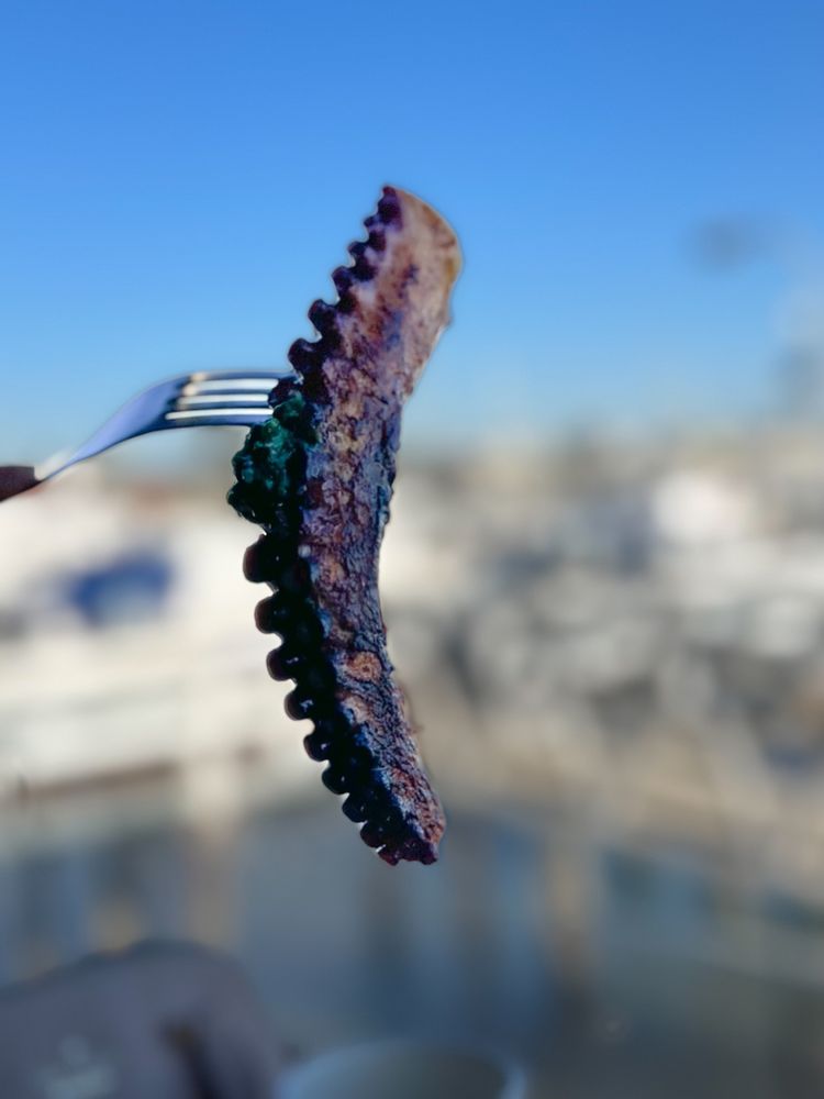 Mitch's Seafood