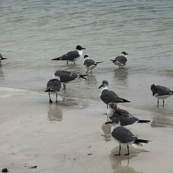 Oleta River State Park - Parks Near Me - North Miami Beach, Florida