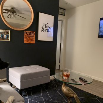 Wallis Annenberg PetSpace - Man likes his aperol and watching Netflix - Pet Adoption Near Me - Los Angeles, California Wallis Annenberg PetSpace - Man likes his aperol and watching Netflix - Pet Adoption Near Me - Los Angeles, California