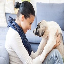 Partners In Allergy & Asthma Care