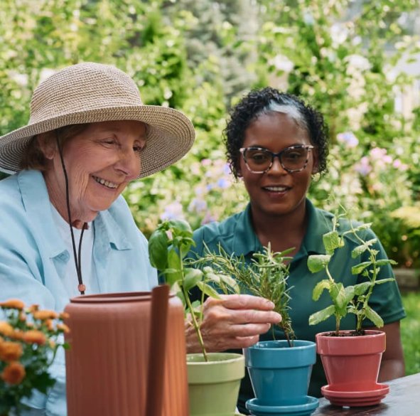 Home Instead  - home care agency in Cedar Rapids, IA